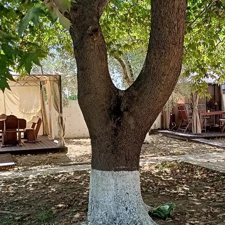 St Paul And Peter's House Lägenhet